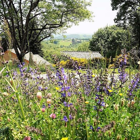 Domaine Des Marequiers Chambre Pimprenelle Saint-Germain-du-Teil 외부 사진