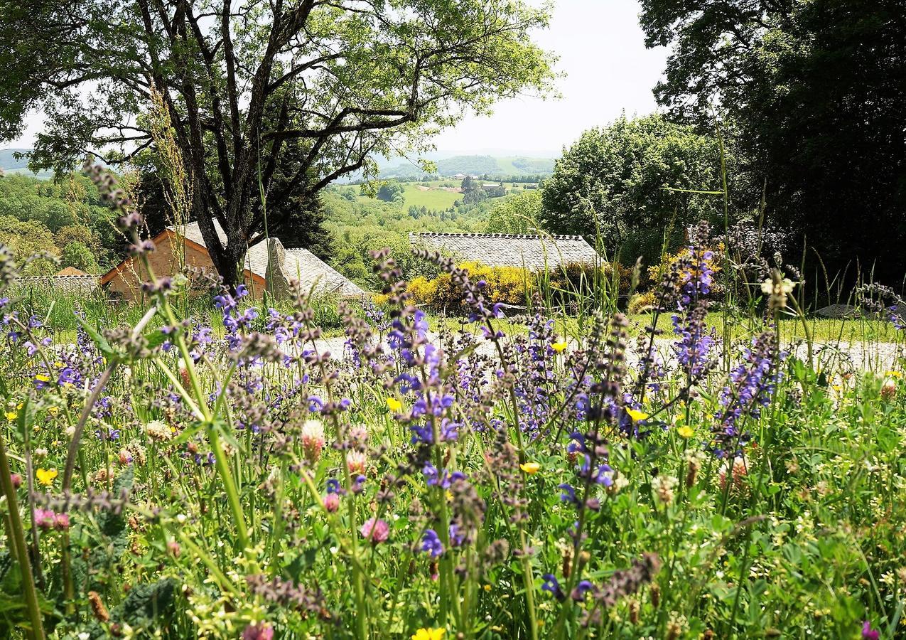 Domaine Des Marequiers Chambre Pimprenelle Saint-Germain-du-Teil 외부 사진