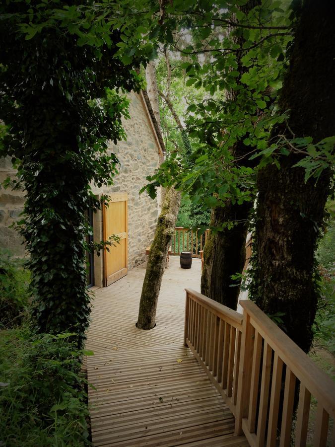 Domaine Des Marequiers Chambre Pimprenelle Saint-Germain-du-Teil 외부 사진