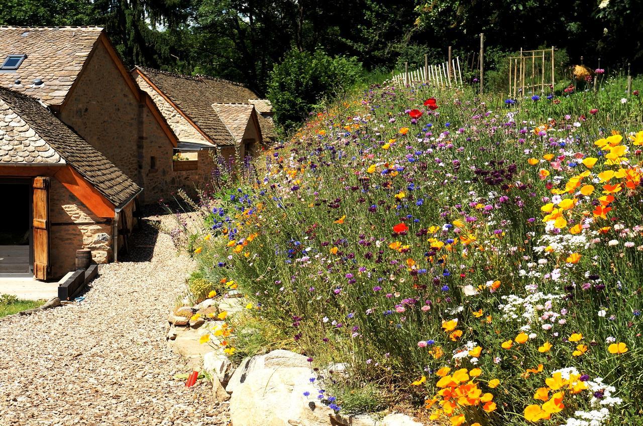 Domaine Des Marequiers Chambre Pimprenelle Saint-Germain-du-Teil 외부 사진